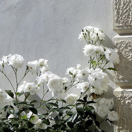 Villa Barberina ヴァルドッビアーデネ エクステリア 写真